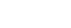 Bombay Spice logo